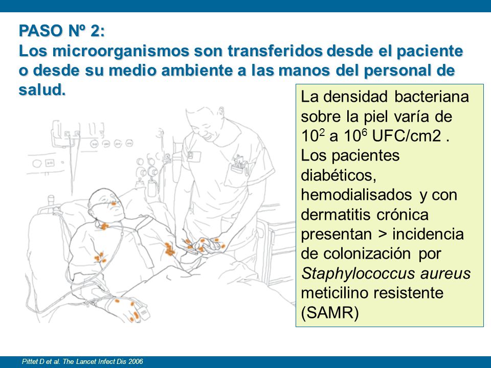 El estafilococo como la causa atopicheskogo de la dermatitis